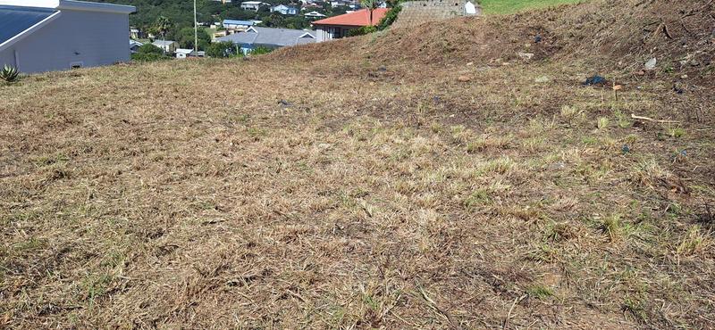 0 Bedroom Property for Sale in Groot Brakrivier Central Western Cape